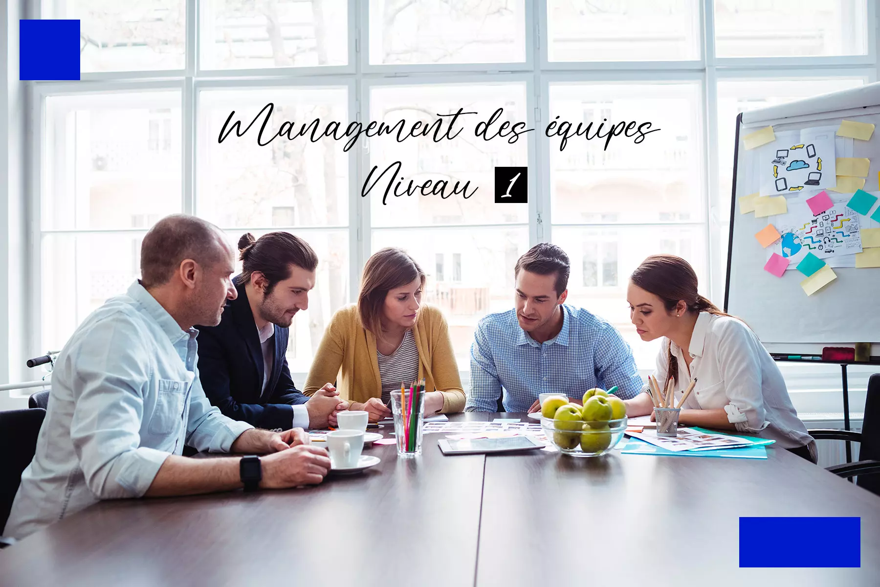 Management des équipes - Niveau 1